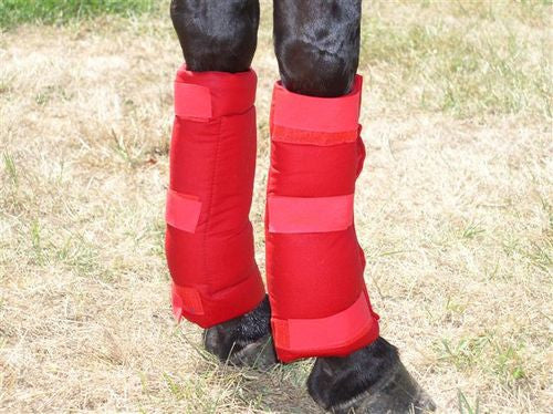 water boots for horses