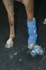 hydrotherapy boots for horses