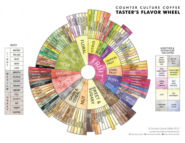 Counter Culture's Flavor Wheel