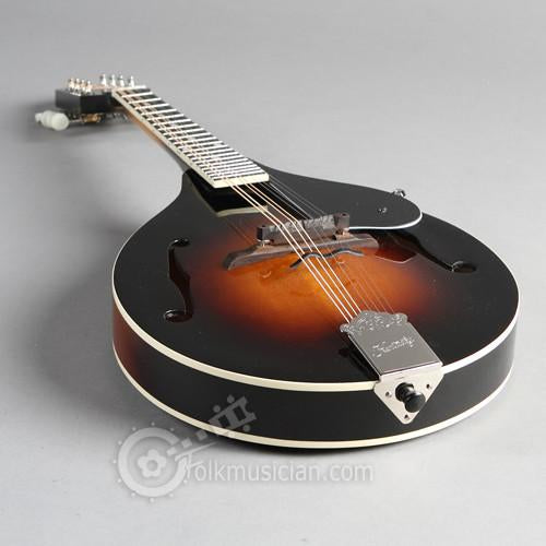 changing strings kentucky mandolin