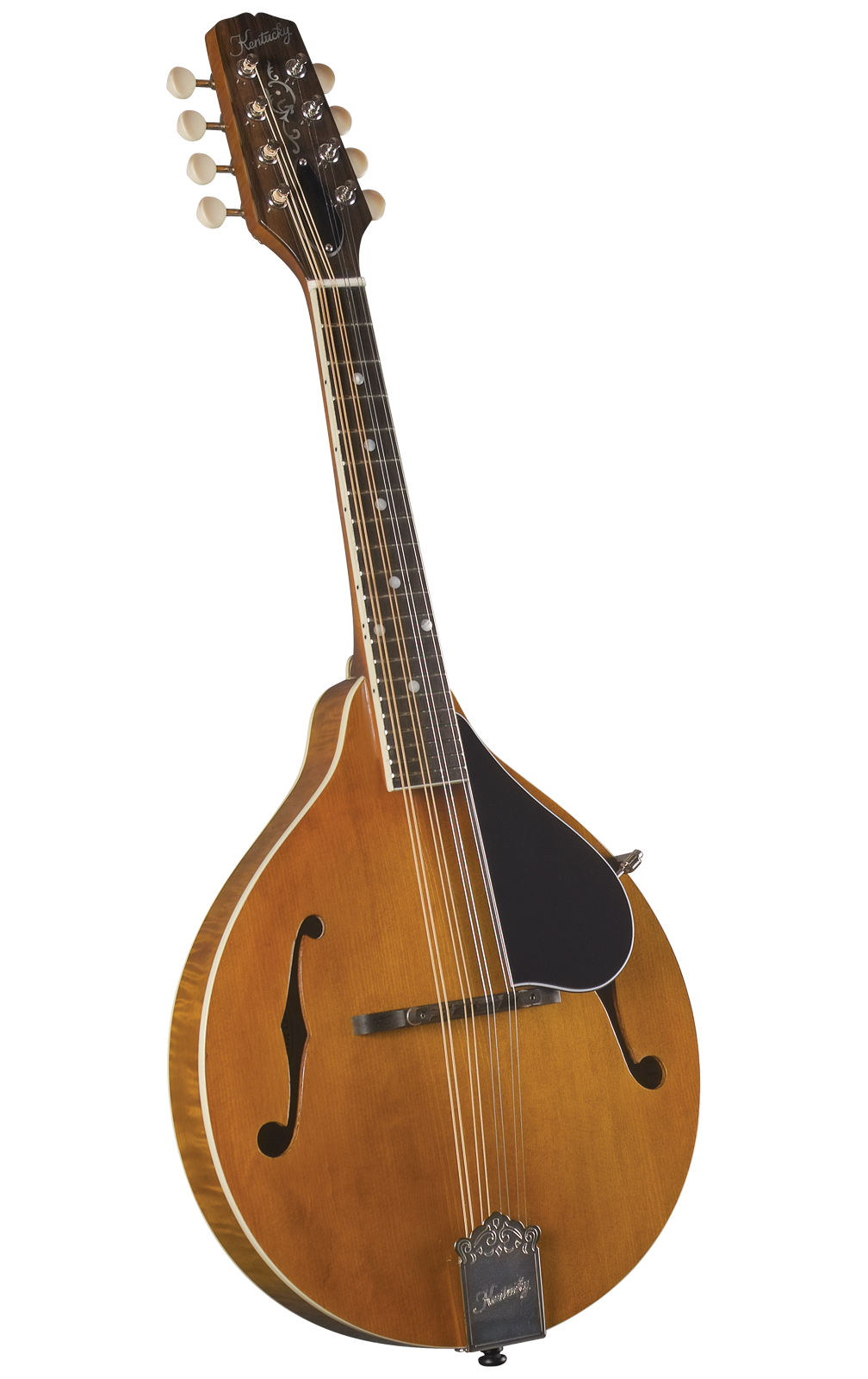 kentucky mandolin models