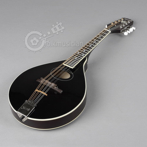 kentucky mandolin km 172