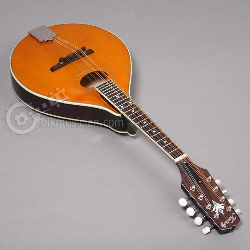 kentucky mandolin used