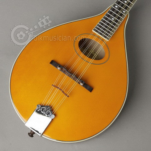 kentucky mandolin km 172