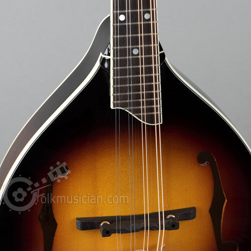 kentucky mandolin neck
