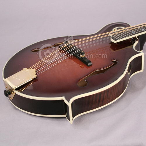 kentucky mandolin km 161