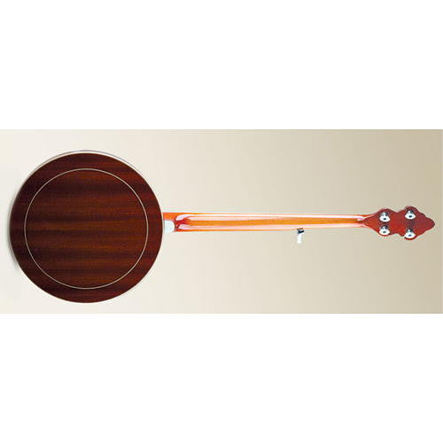 songster banjo