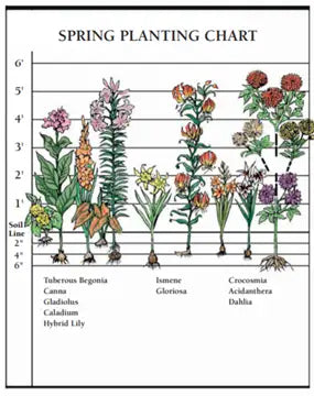 Spring Planting Chart