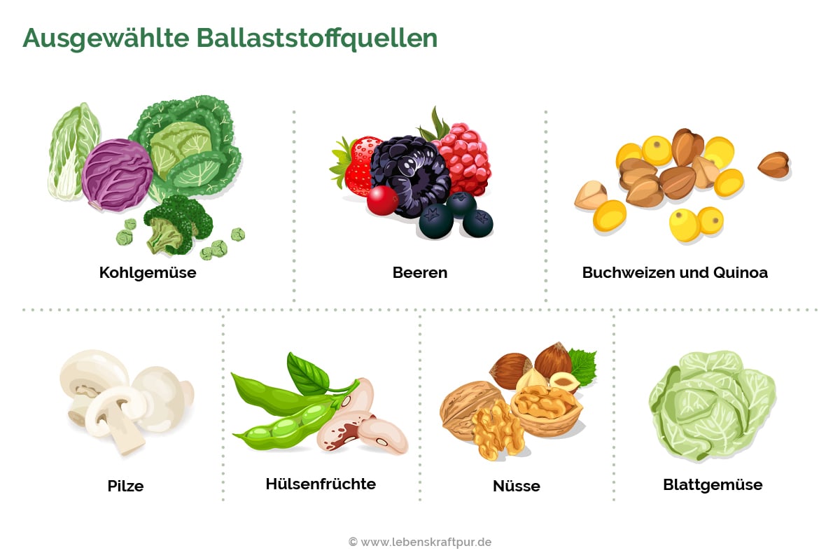 .Ausgewählte Ballaststoffquellen