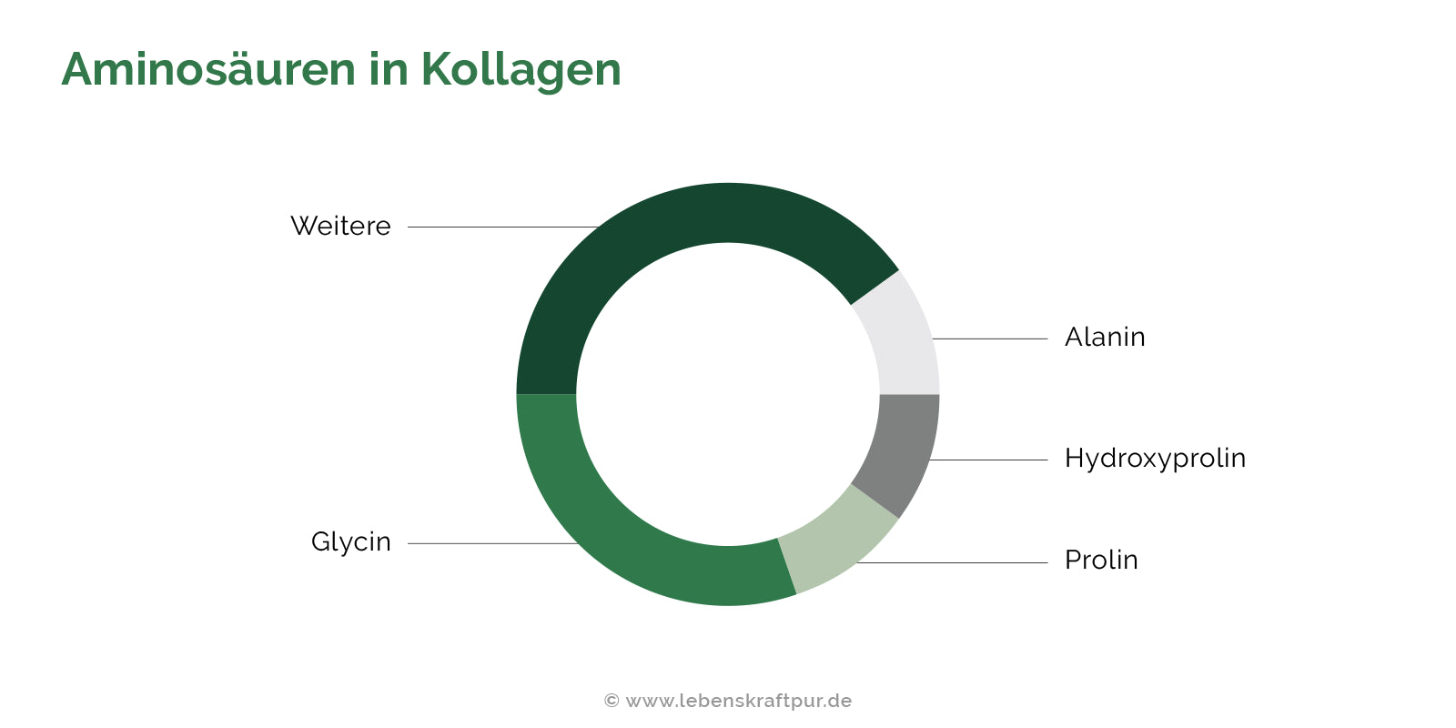 Kreisdiagramm Vorkommen der Aminosäuren im Kollagen des Menschen