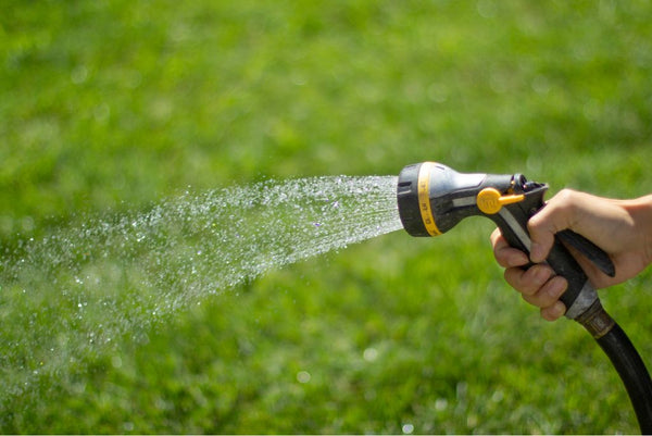 Watering the lawn