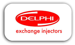 delphi exchange injectors
