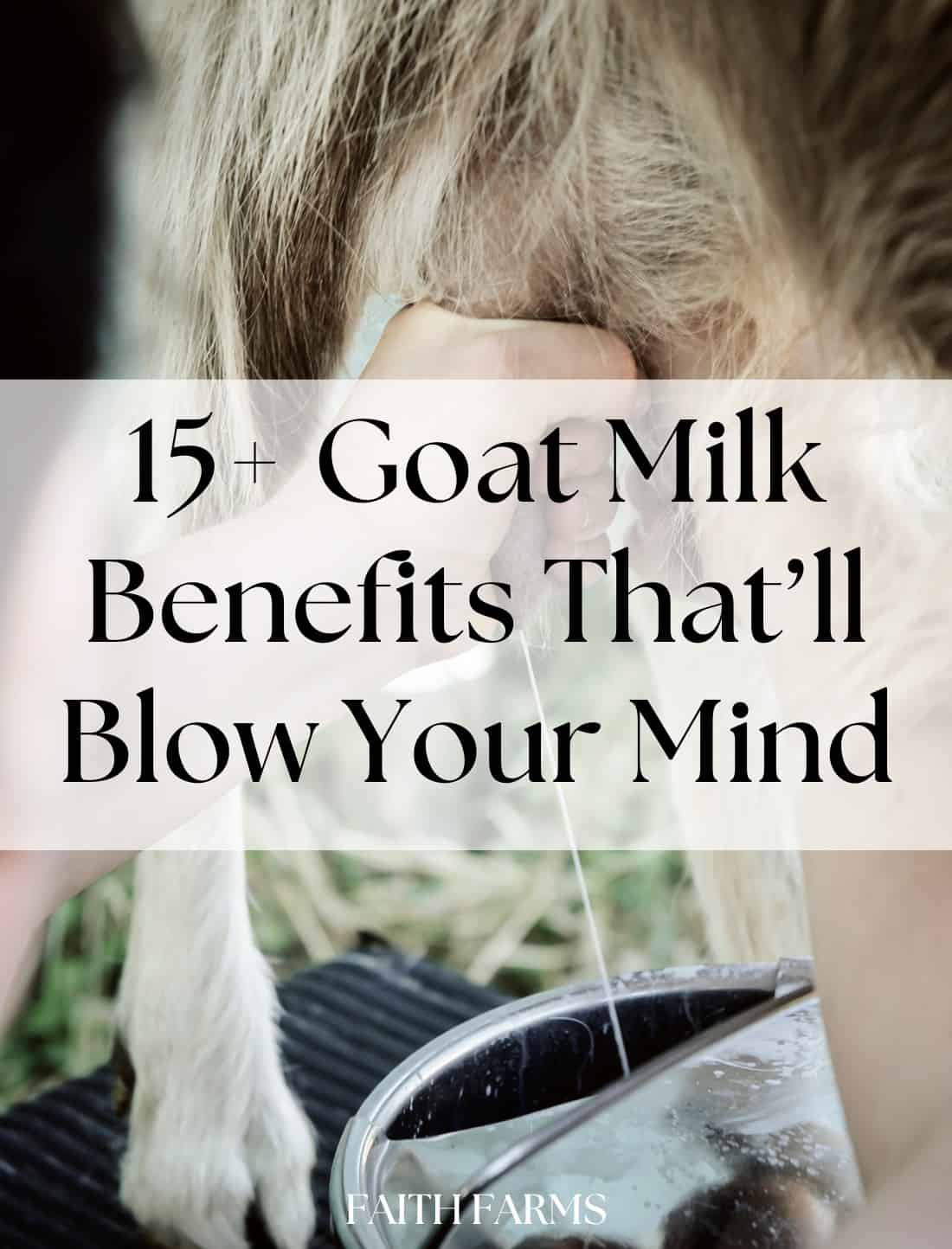 goat milk benefits