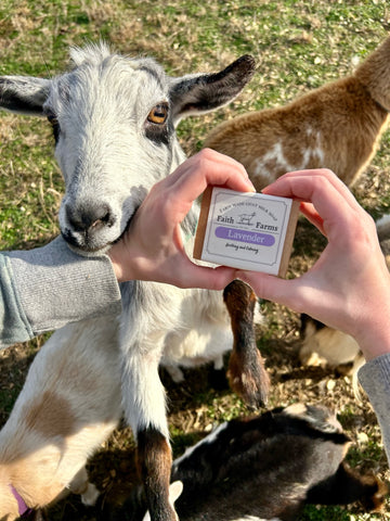 goat milk soap vs regular soap