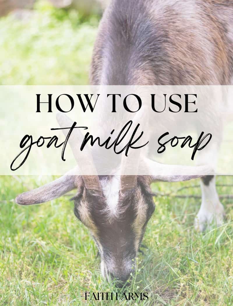how to use goat milk soap