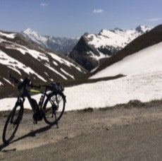 Gepida Albion in Swiss Snow