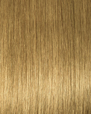 H12/14-Golden Beige Brown & Light Golden Blonde Highlights