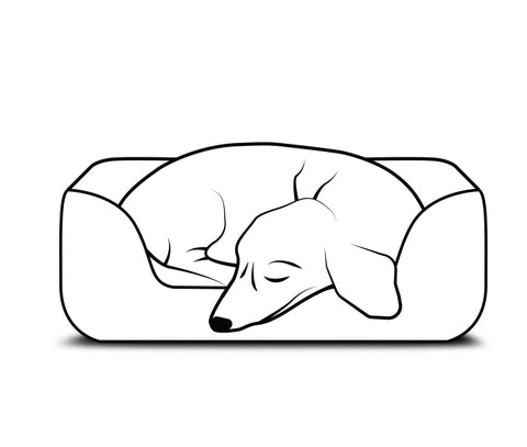 dog curled up on a bed