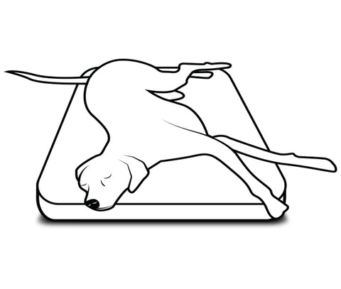 a dog sprawled out on a bed