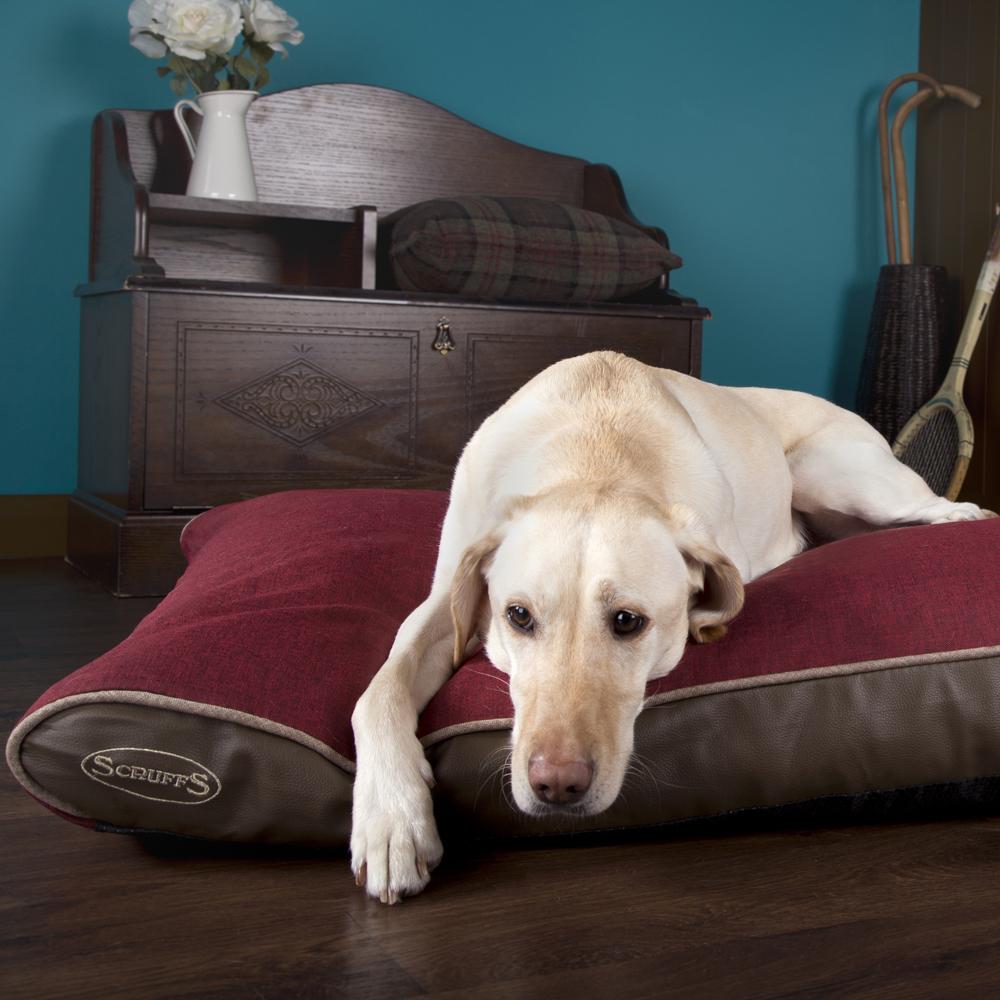 Scruffs hilton discount orthopedic dog bed