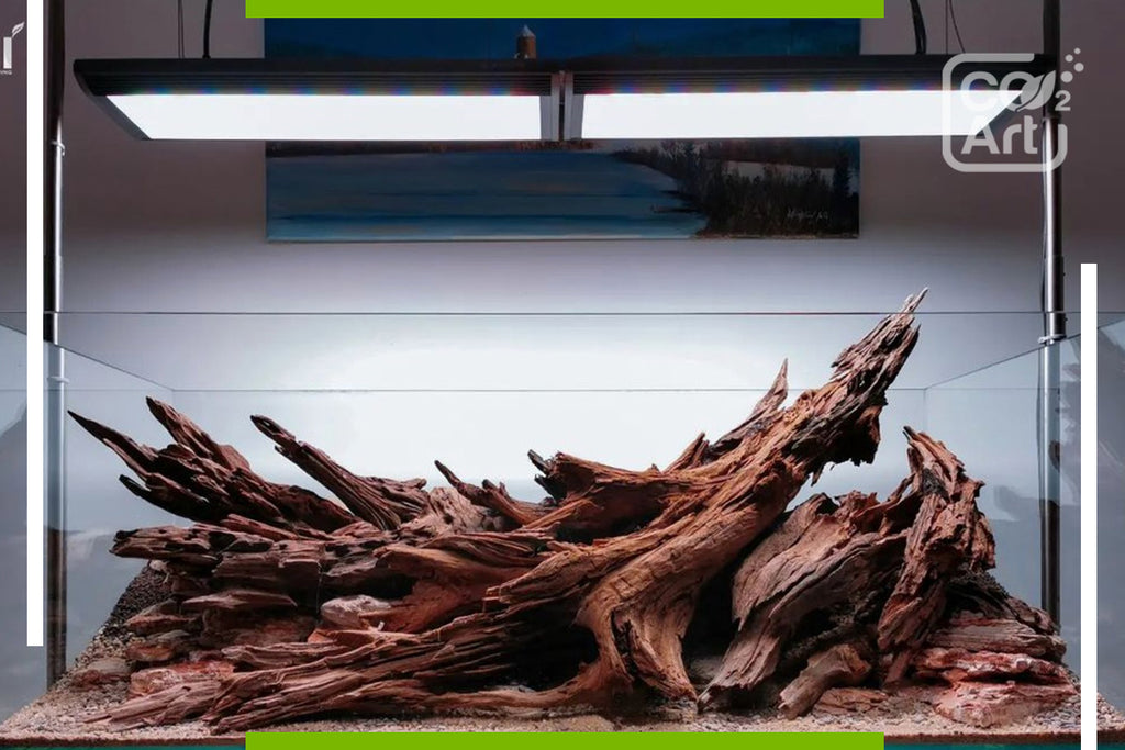 Everything About Wood And Roots In The Aquarium