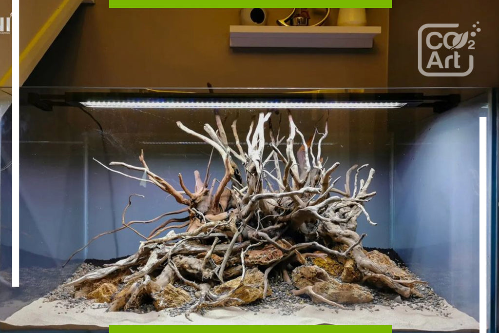 Everything About Wood And Roots In The Aquarium