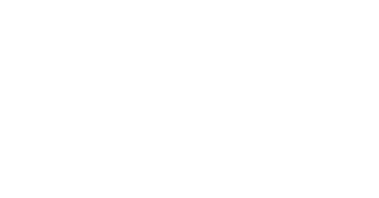 logo_nzfn