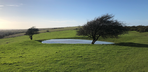 watering hole, south downs