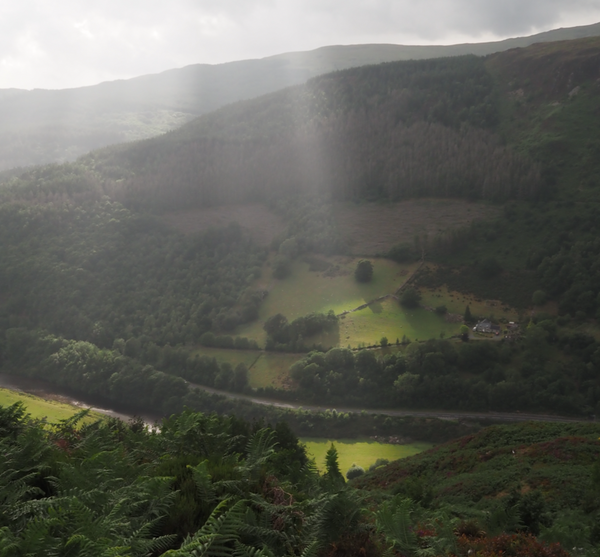 Sunlight on the green fields