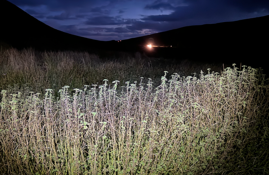 headtorch walking