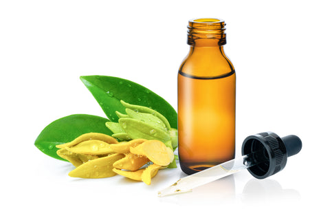 Ylang Ylang Oil for skin nourishment