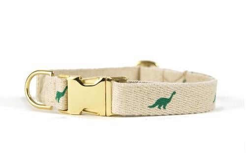 Shed Dino Collar