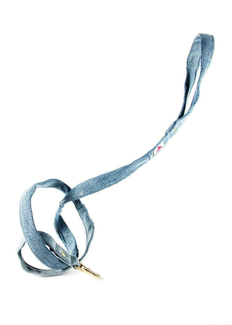 Shed Mom Jeans Leash in Light Wash