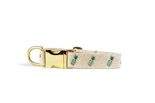 Shed Pineapple Collar