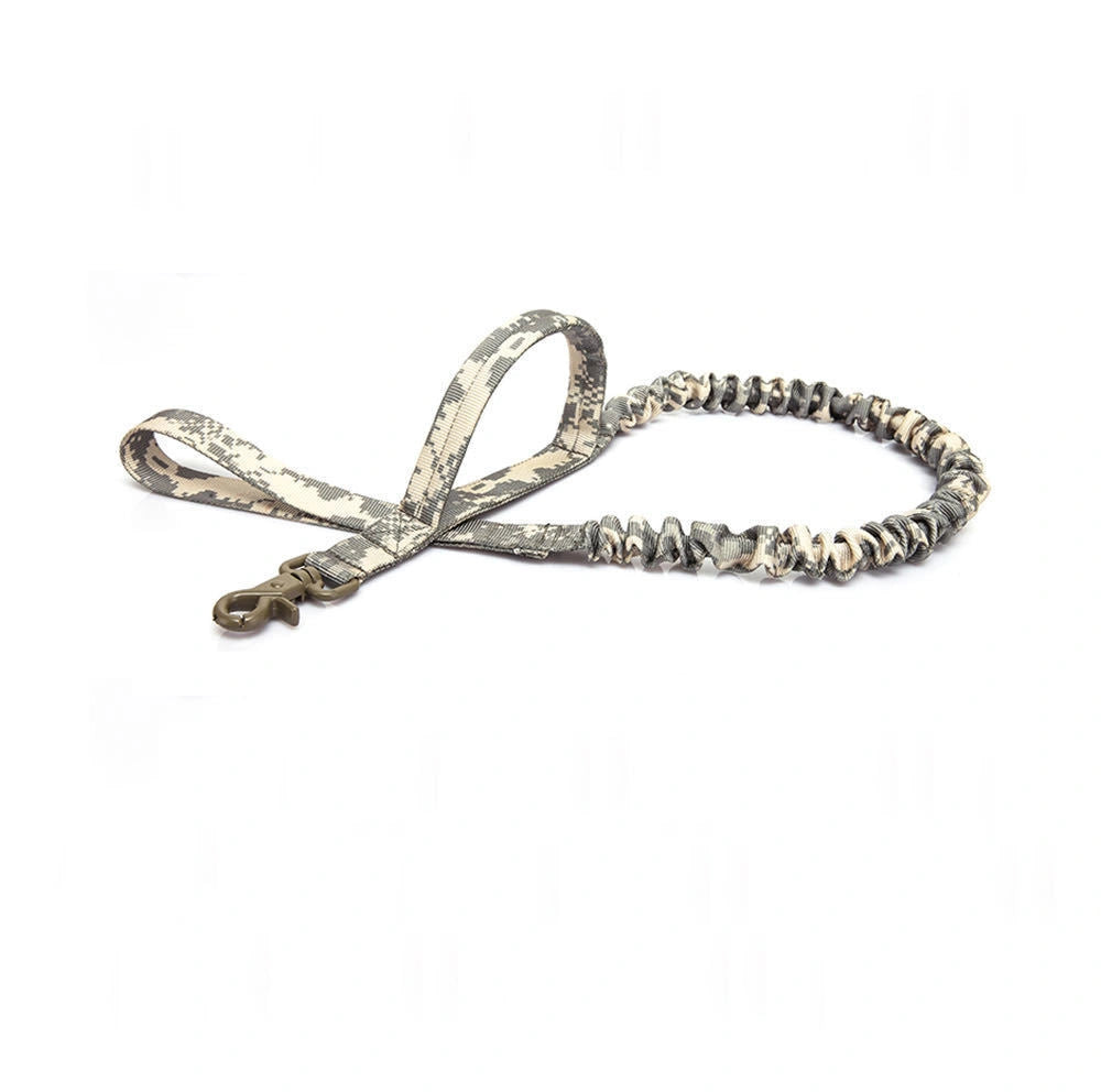 Retractable Dog Lead for Outdoor Training