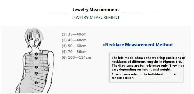 Classic Wings Shape Women's Black Drop-shaped Zircon Earrings