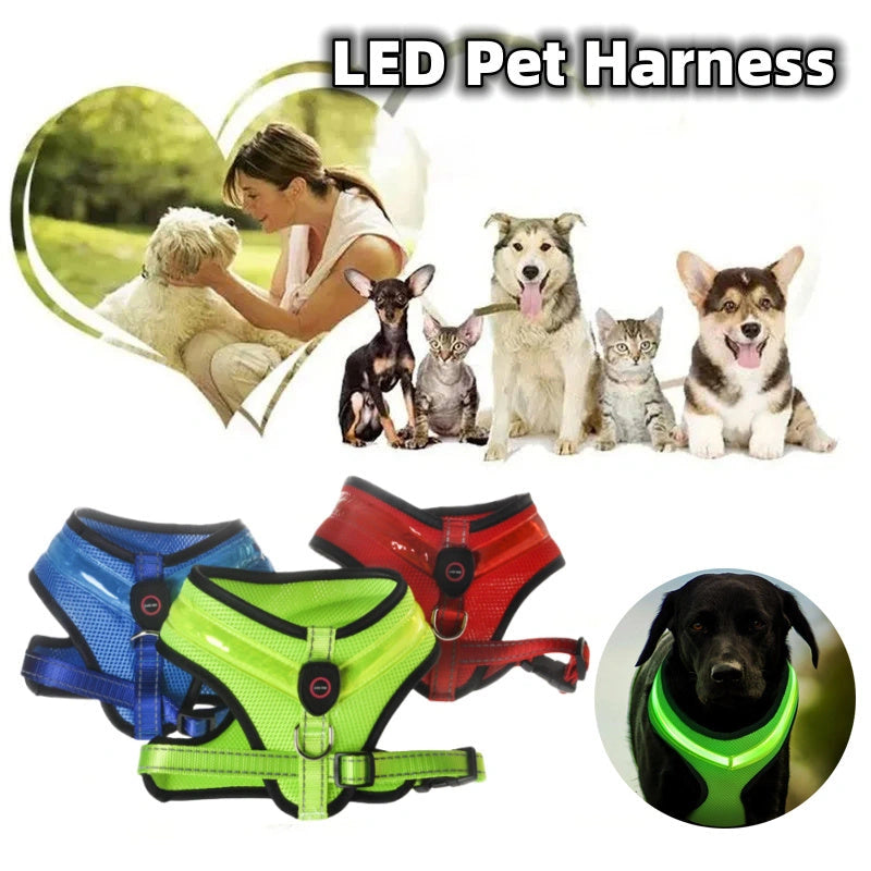 USB Charging LED Dog Harness with Reflective Safety Features