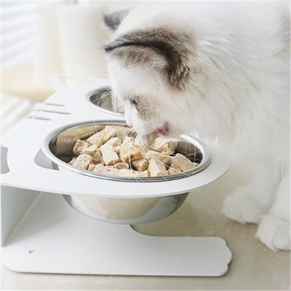 Stainless Steel Anti-Spill Pet Feeding Bowl