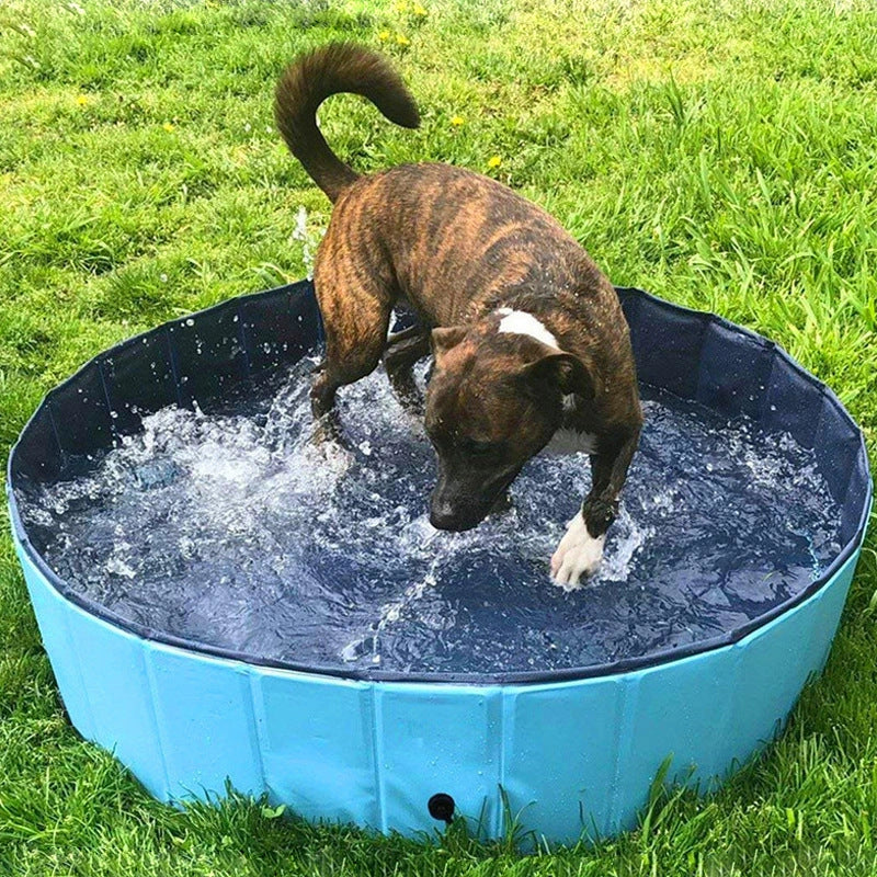 Collapsible Dog Pool with Drain for Easy Emptying