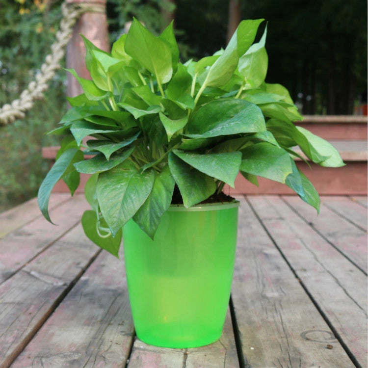 Strongwell Nordic Hydroponics Flower Pot with Automatic Water Absorption