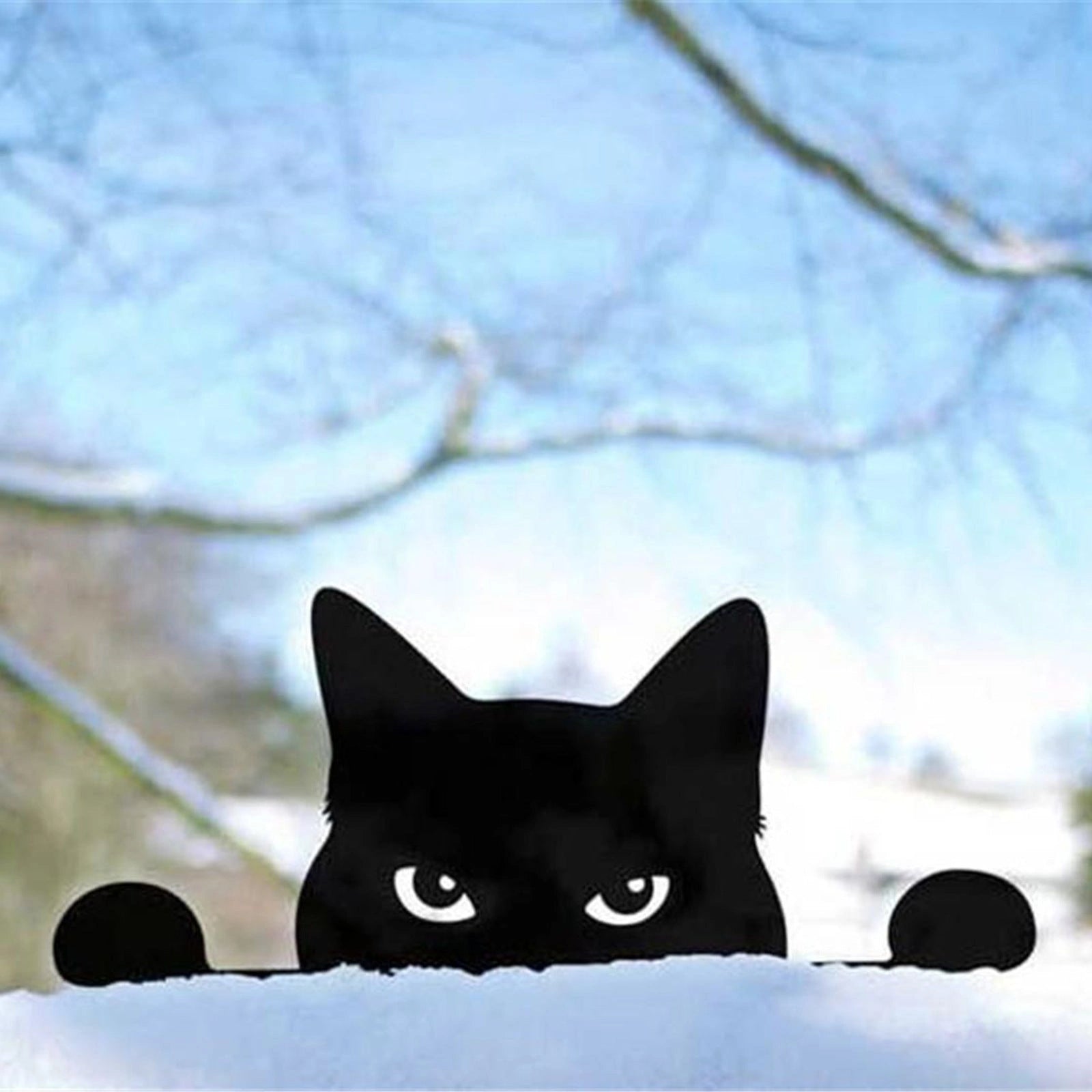 Black Cat Fence Outdoor Garden Decoration with 3D Natural Image