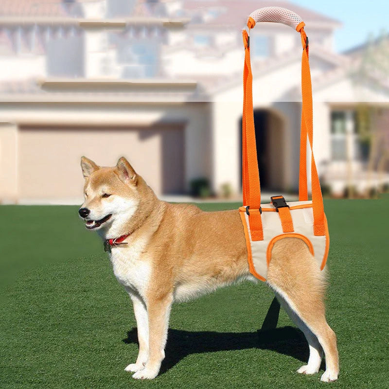 Adjustable Dog Lift Harness for Hind Leg Support in Senior and Weak Dogs