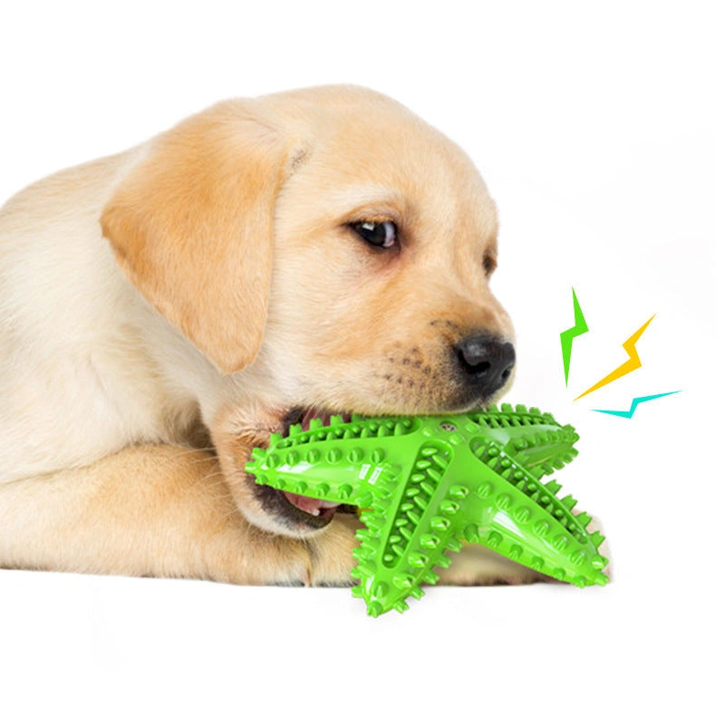 Starfish Vocal Pet Dog Toy Molar Stick for Dental Health