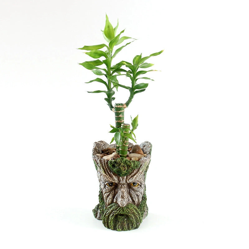 Strongwell Tree Head Old Man Figurine Planter Pot for Home Decoration