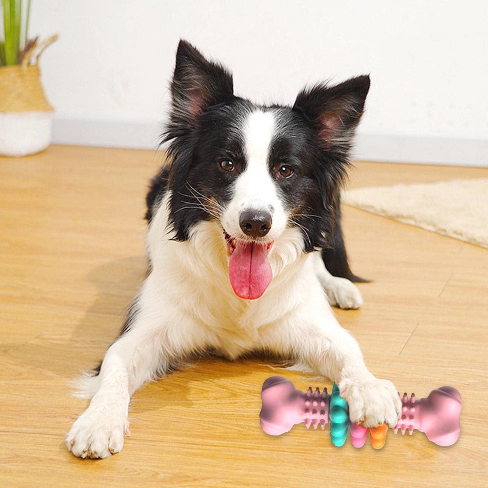 Dog Chew Toy Bone Shape for Teeth Cleaning and Stress Relief