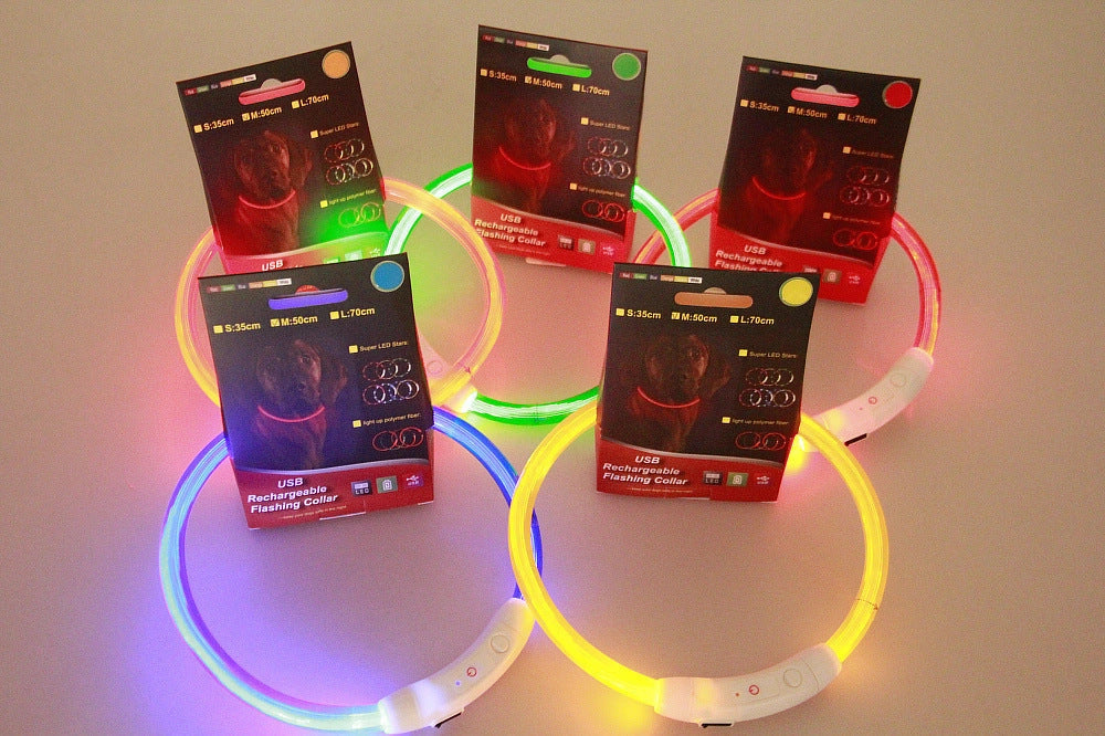 USB Rechargeable Pet Safety Collar with LED Glow for Night Walks