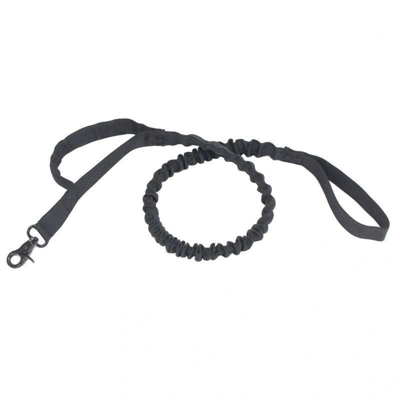 Retractable Dog Lead for Outdoor Training