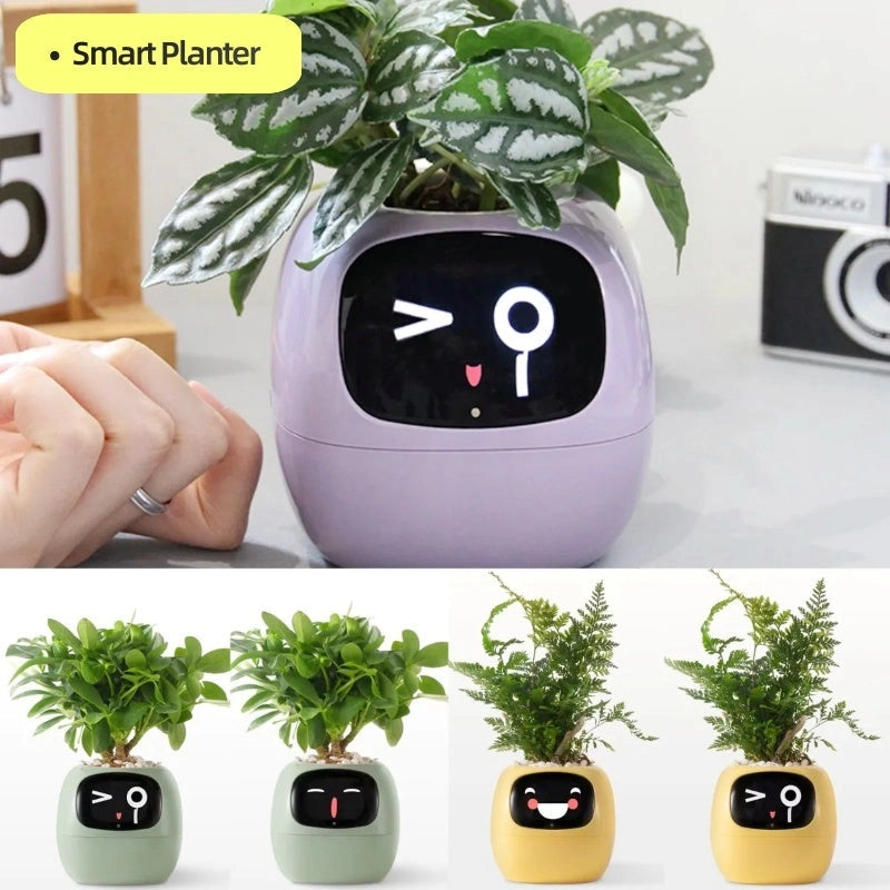 Smart Planter with 7 Sensors and AI for Easy Plant Care