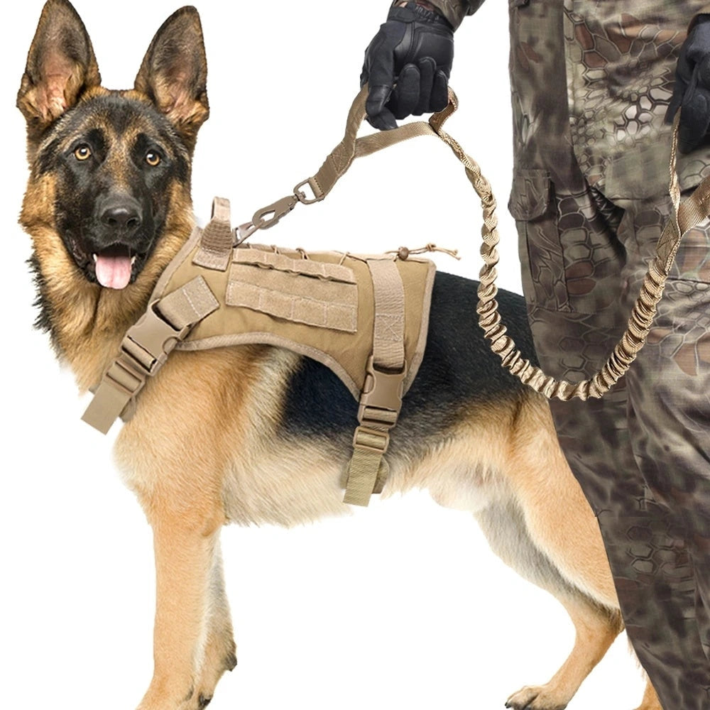 Retractable Dog Lead for Outdoor Training