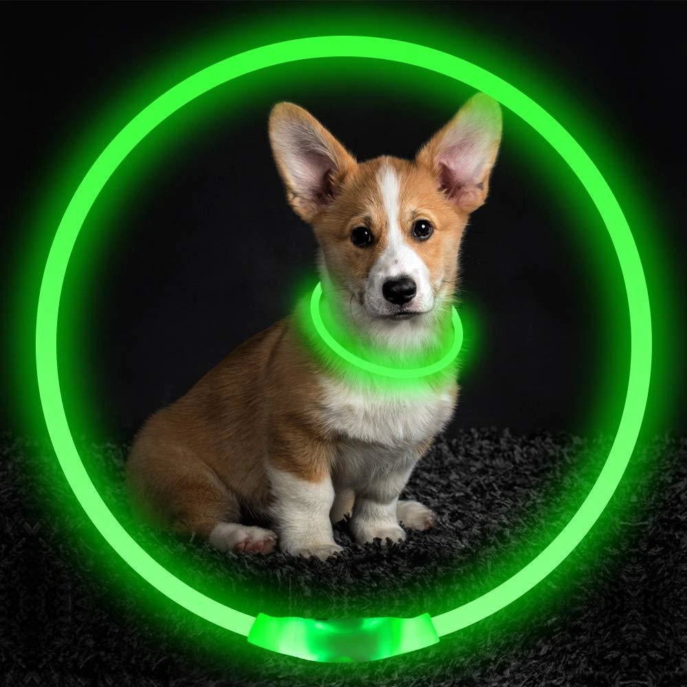 USB Rechargeable Pet Safety Collar with LED Glow for Night Walks